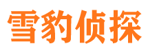 隆昌市侦探公司